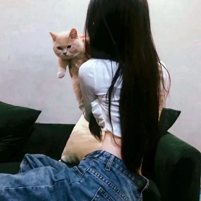 纸房子:全球热潮